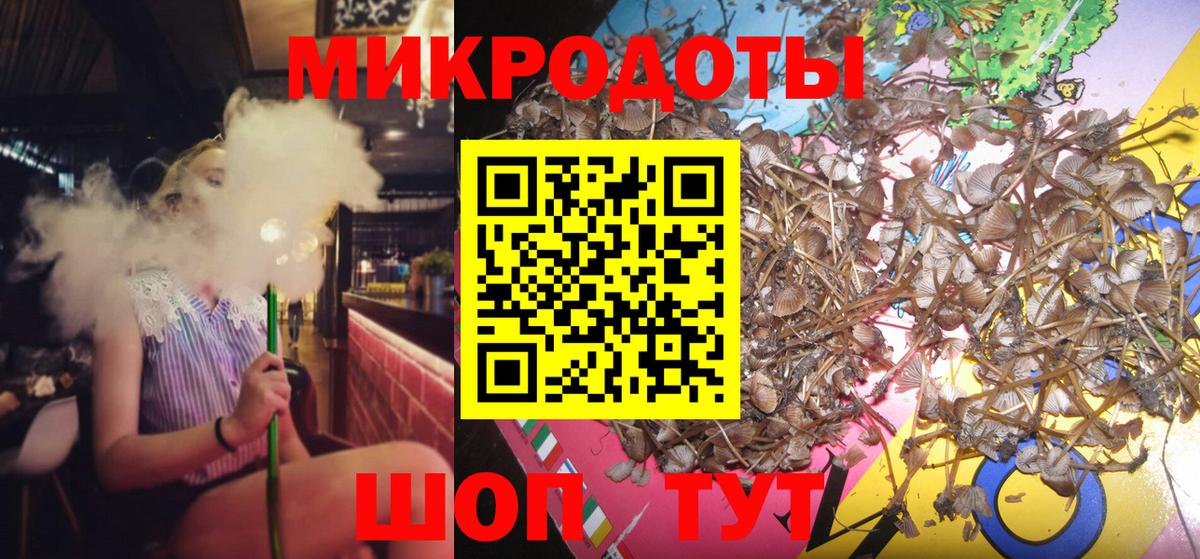 Владикавказ  Псилоцибиновые грибы прущие грибы  Вход с VPN 